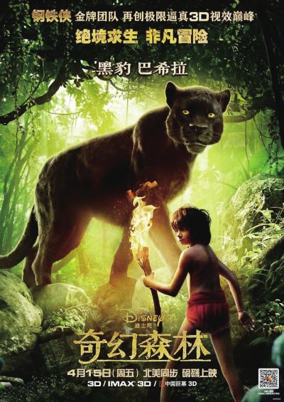 房产证证书号码是哪个图片